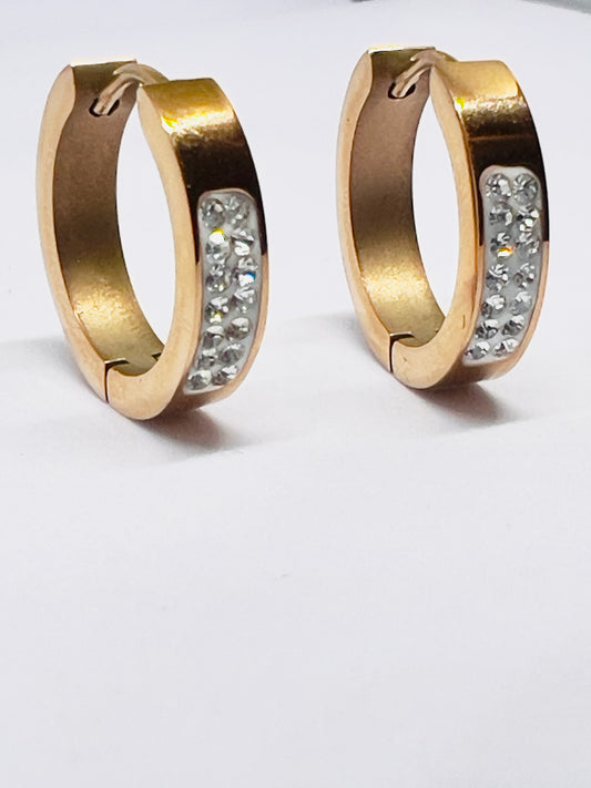 Everyday Hoops Earrings