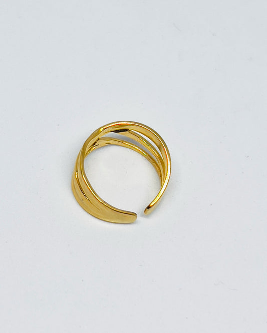 Double Band Ring (Adjustable)