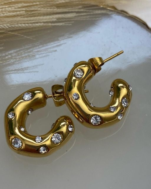 Curvy Luxe Earrings