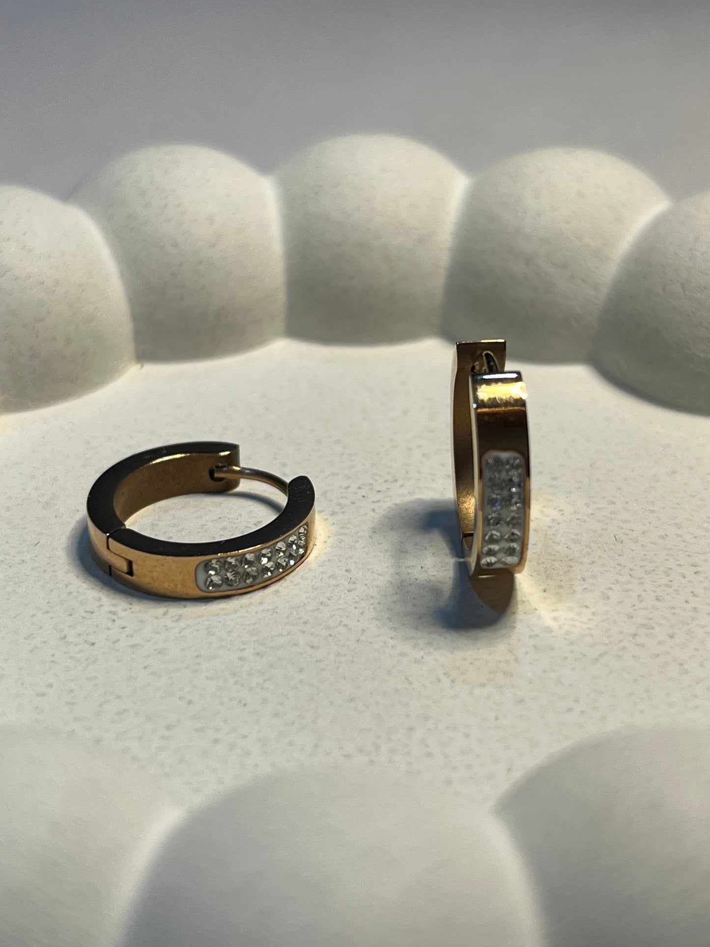 Everyday Hoops Earrings