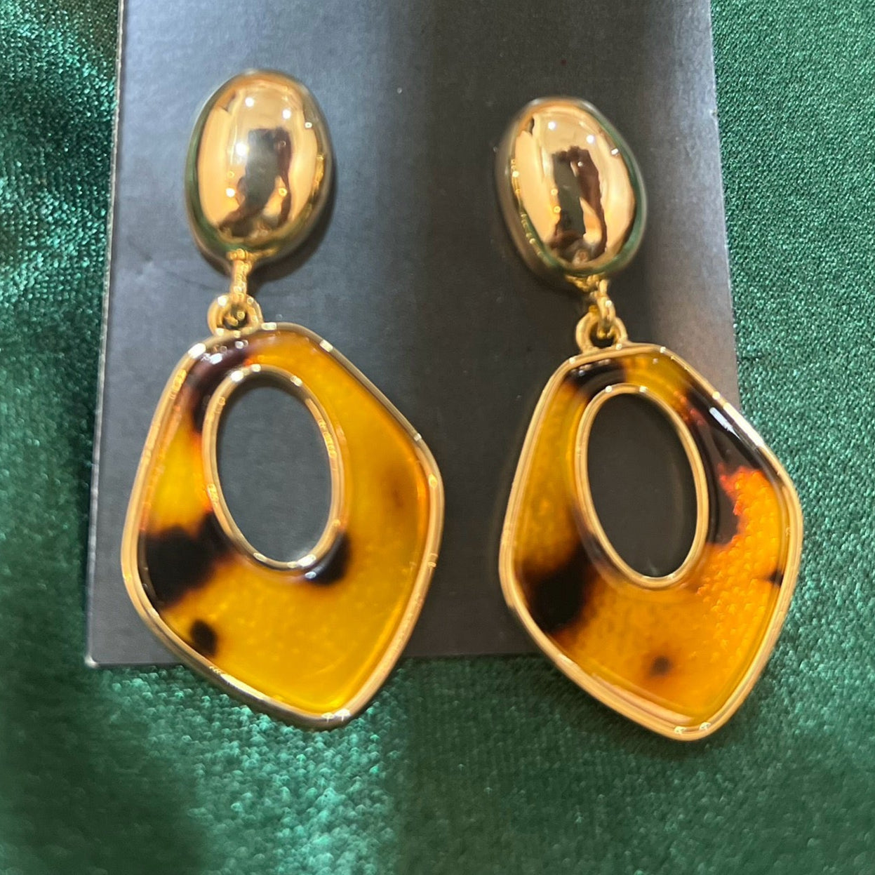 Wildcat Earrings