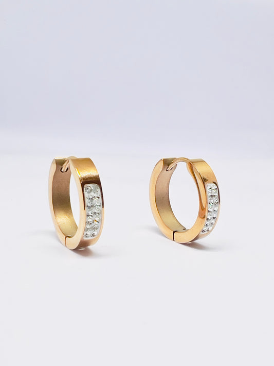 Everyday Hoops Earrings